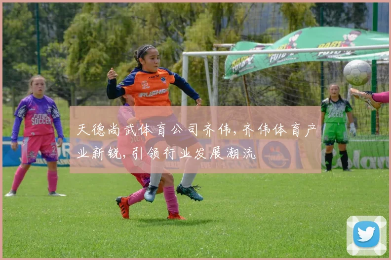 天德尚武体育公司齐伟,齐伟体育产业新锐,引领行业发展潮流