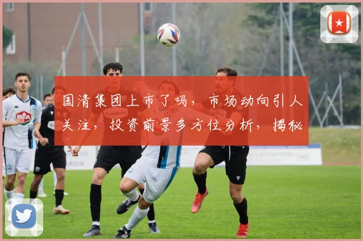国清集团上市了吗，市场动向引人关注，投资前景多方位分析，揭秘上市真相三问