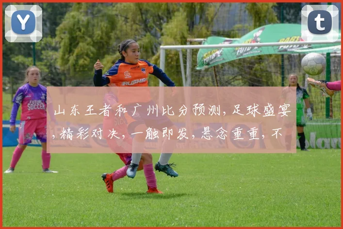 山东王者和广州比分预测,足球盛宴,精彩对决,一触即发,悬念重重,不容错过