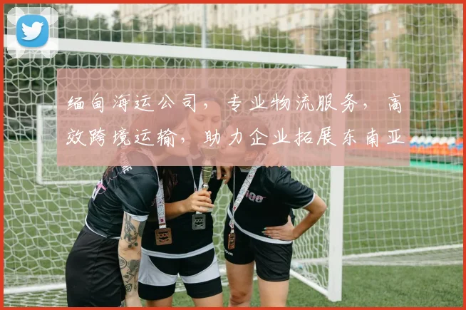 缅甸海运公司，专业物流服务，高效跨境运输，助力企业拓展东南亚市场，值得信赖