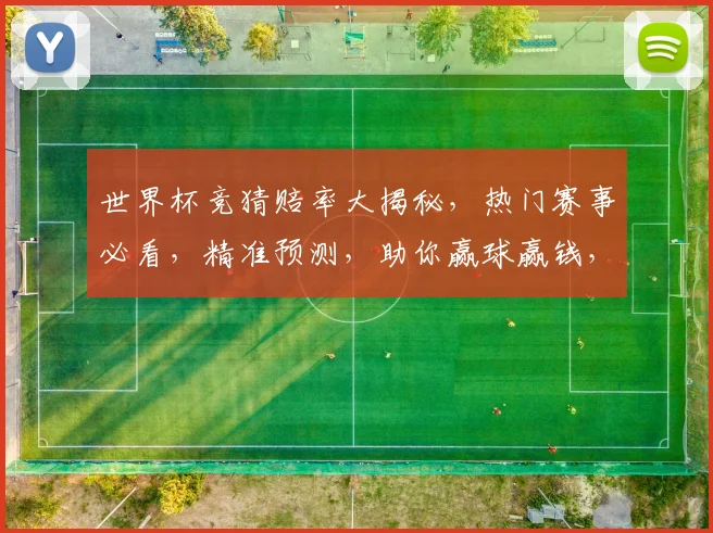 世界杯竞猜赔率大揭秘，热门赛事必看，精准预测，助你赢球赢钱，快来看看吧